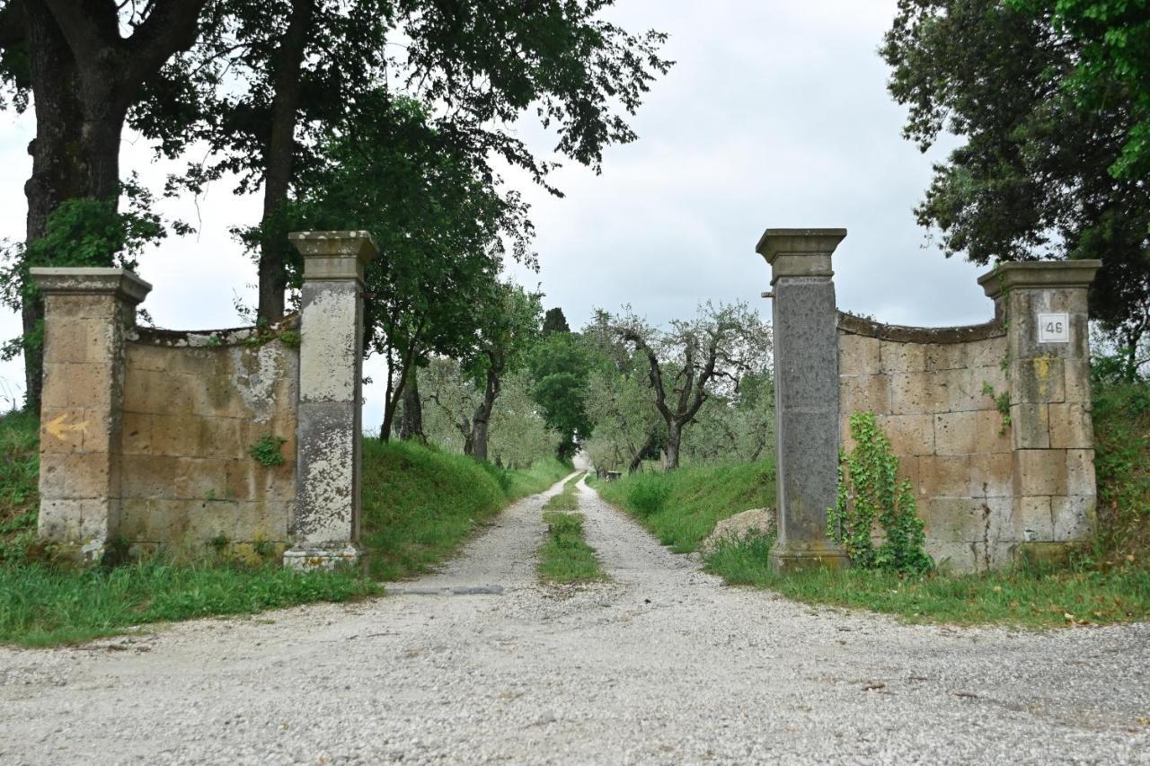 Casa Lattuada Daire Orvieto Dış mekan fotoğraf